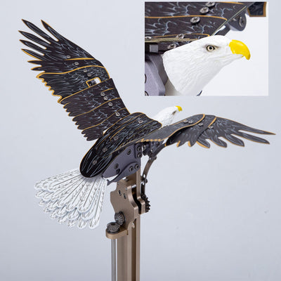 American Bald Eagle Haliaeetus Leucocephalus Model Kit（240Pcs）